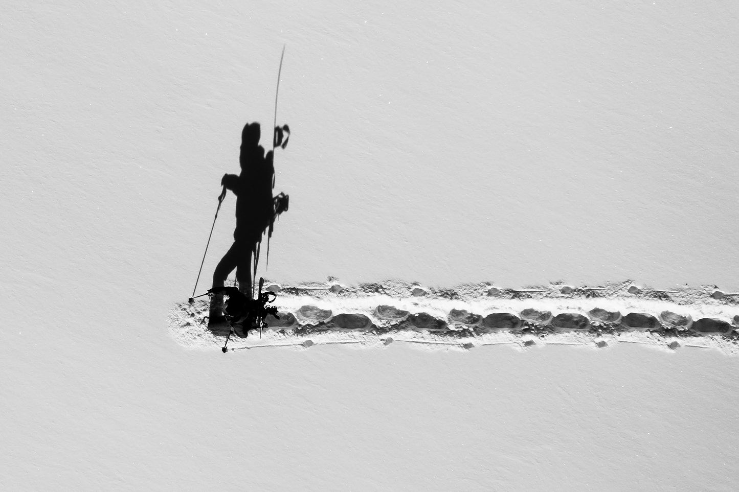 The Walker